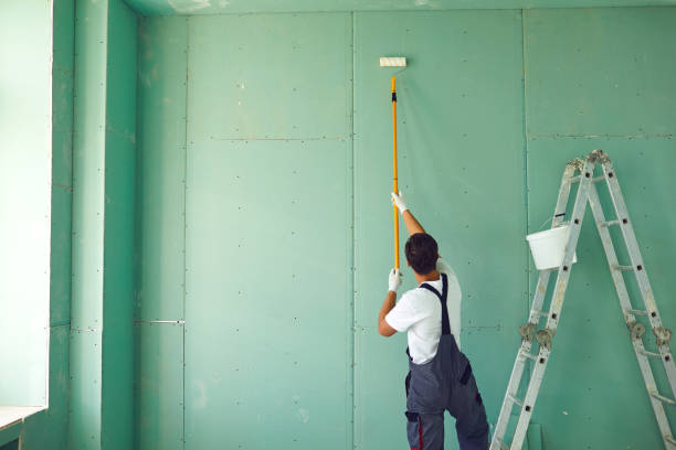 Best Mold Removal for HVAC Installations  in Little Falls, MN