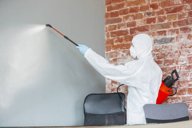 Best Mold-Related Health Consultation  in Little Falls, MN