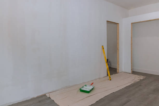 Best Commercial Mold Inspection  in Little Falls, MN
