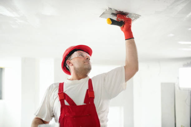 Best Post-Remediation Verification Testing  in Little Falls, MN